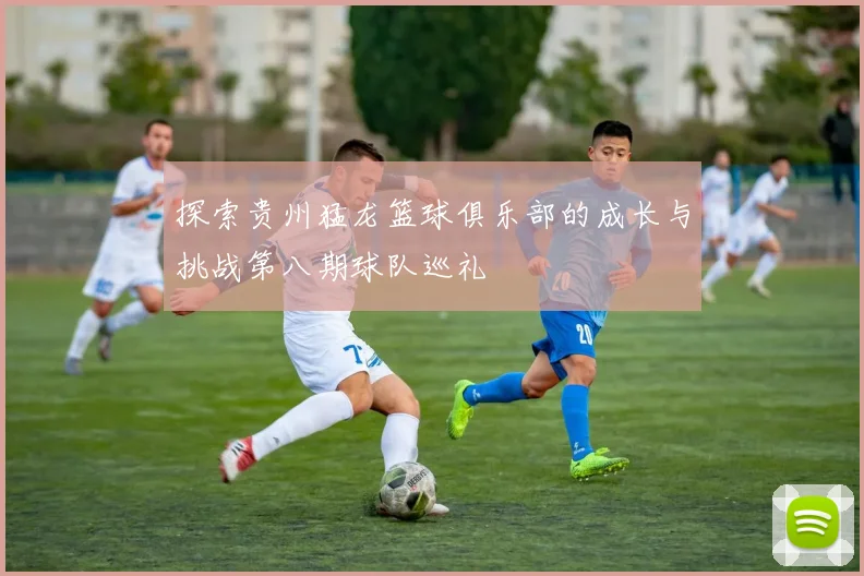 探索贵州猛龙篮球俱乐部的成长与挑战第八期球队巡礼