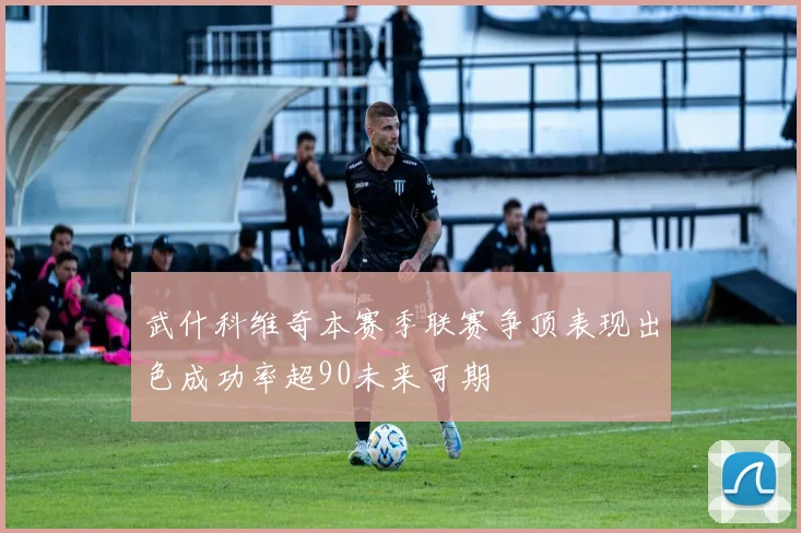 武什科维奇本赛季联赛争顶表现出色成功率超90未来可期